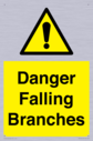 danger-falling-branches~